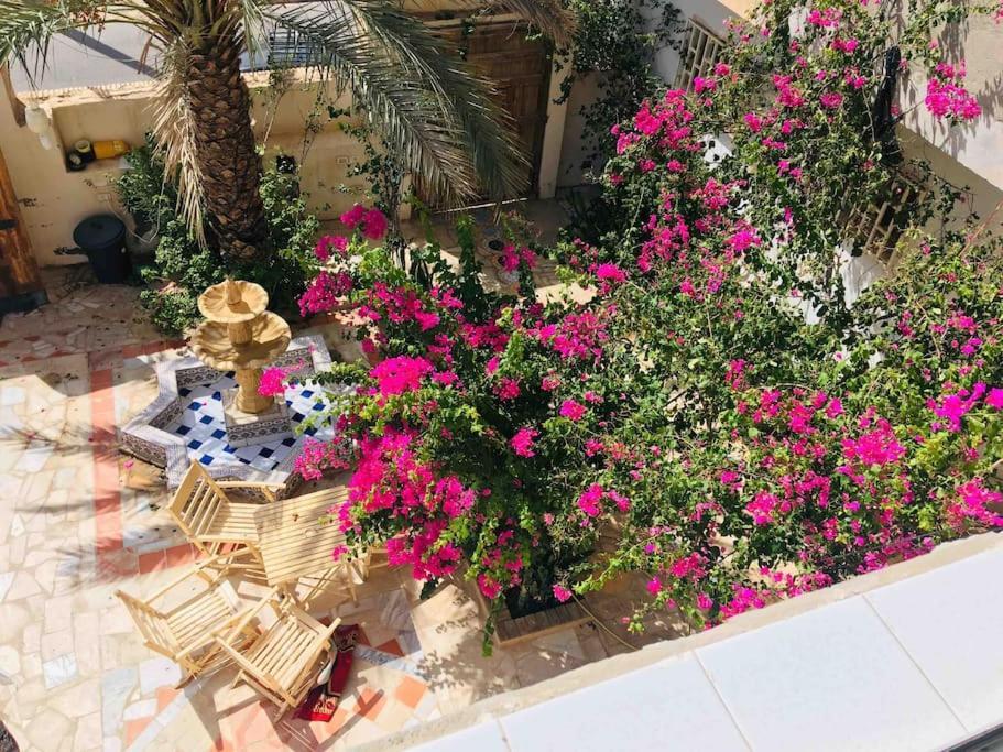 Suite Moonlight Zone Touristique توزر المظهر الخارجي الصورة