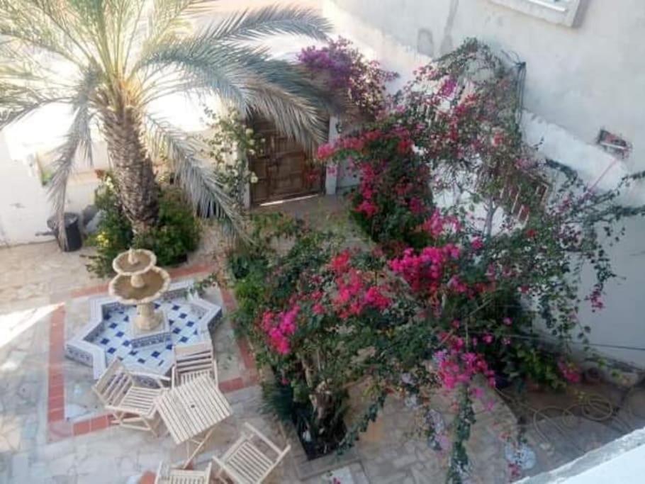Suite Moonlight Zone Touristique توزر المظهر الخارجي الصورة
