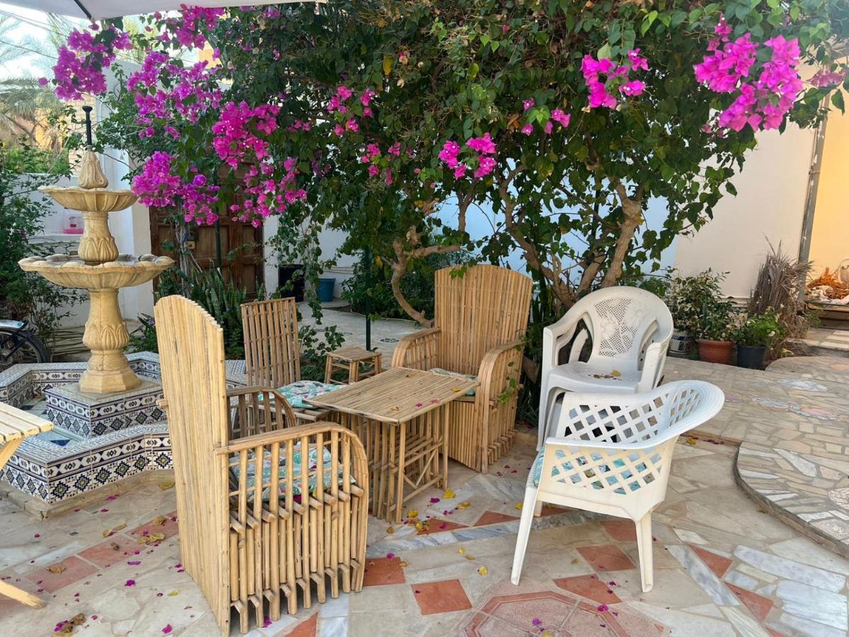 Suite Moonlight Zone Touristique توزر المظهر الخارجي الصورة